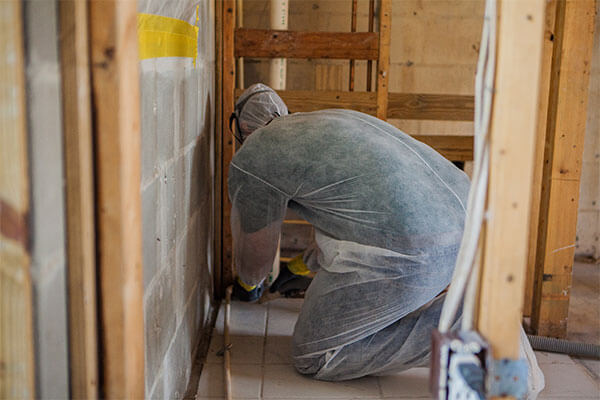 Mold Remediation Experts