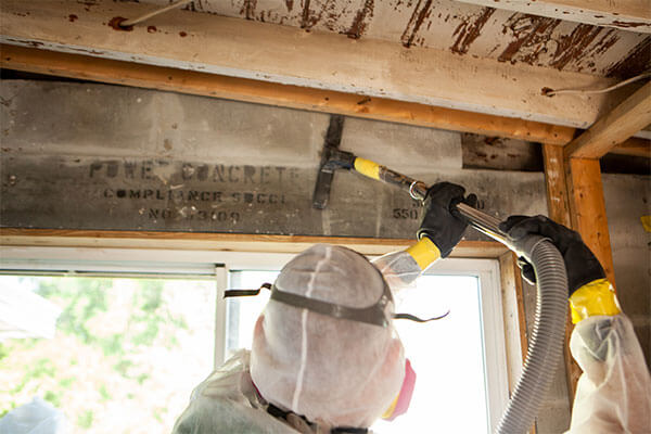 Mold Remediation Experts