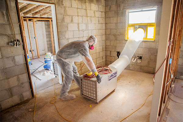Mold Remediation Experts