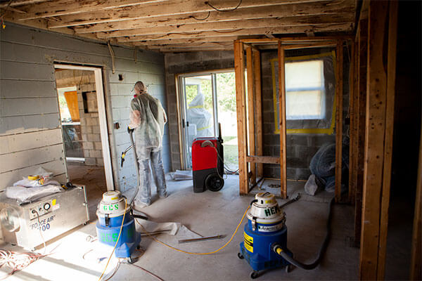 Mold Remediation Experts