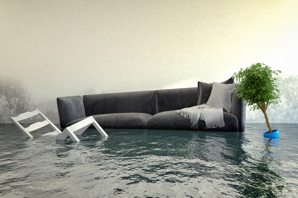 Water Damage vs. Flood Damage: Understanding the Differences and Insurance Coverage Featured Thumbnail