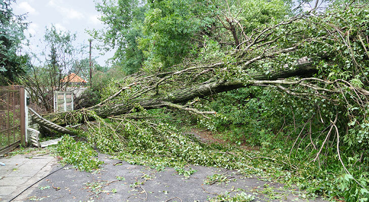 Storm Damage Restoration in San Antonio
