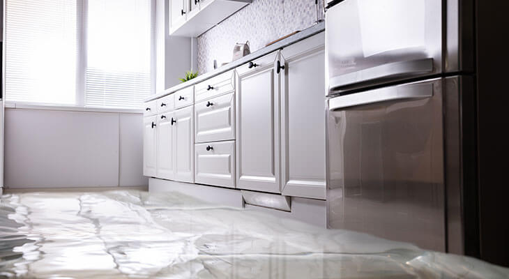 Flooded San Antonio Kitchen Water Damage Restoration in San Antonio