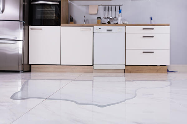 Water Damage Restoration