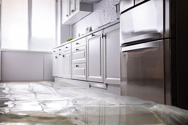 Water Damage Restoration