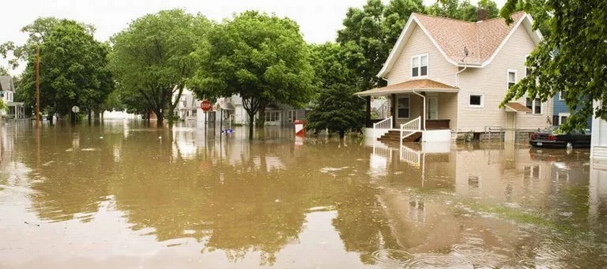 Not Out Of The Woods Yet: Six Potential Safety Hazards After A Flood