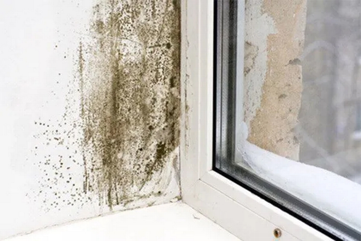 'Water Damage Restoration – Early Signs of Water Damage' Featured Thumbnail