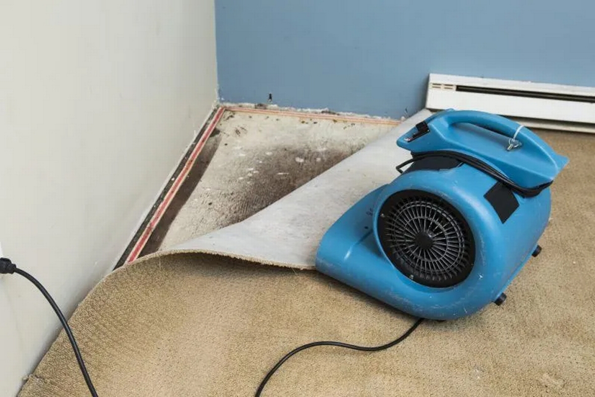 Why A Water Damage Removal Contractor Should Be Your First Call After A Flood