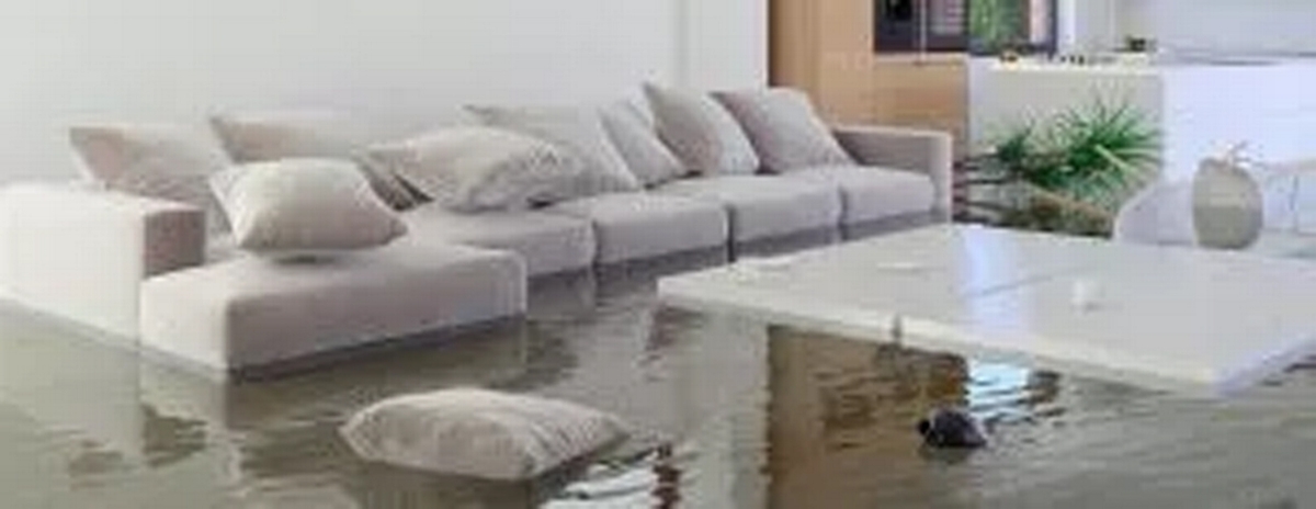 4 Reasons Only Professionals Should Deal With Water Damage Cleanup