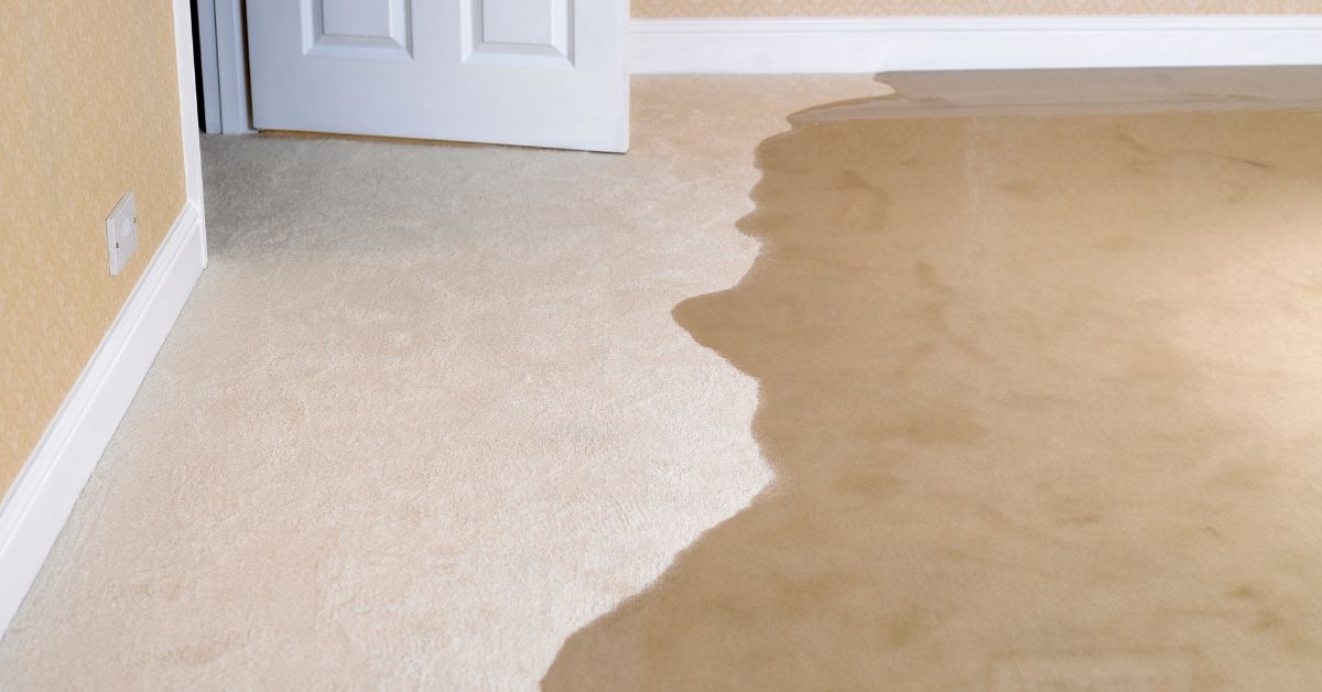 'Restoring Carpets After Water Damage: Essential Cleaning, Drying, and Sanitizing Techniques' Featured Thumbnail