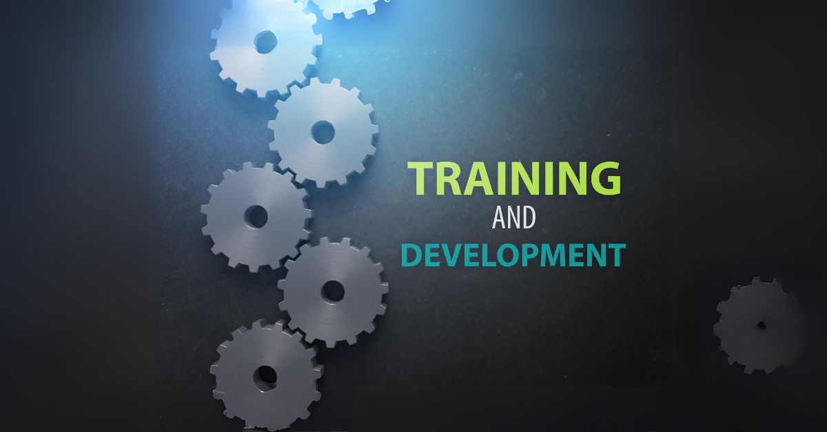 Training and Certification: The Cornerstones of High-Quality Restoration Services