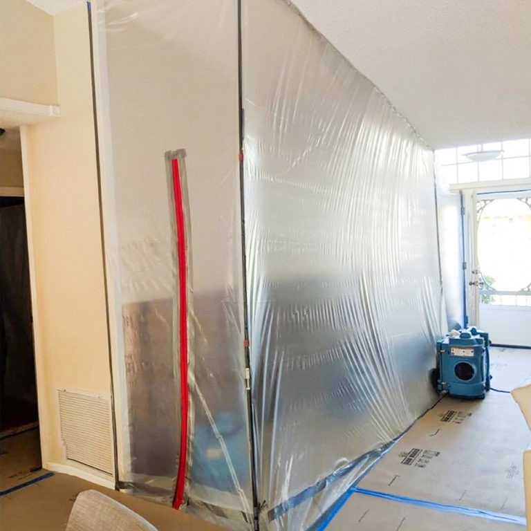 '[Remediation Guide] When Mold Remediation Encapsulation Is the Right Step' Featured Thumbnail