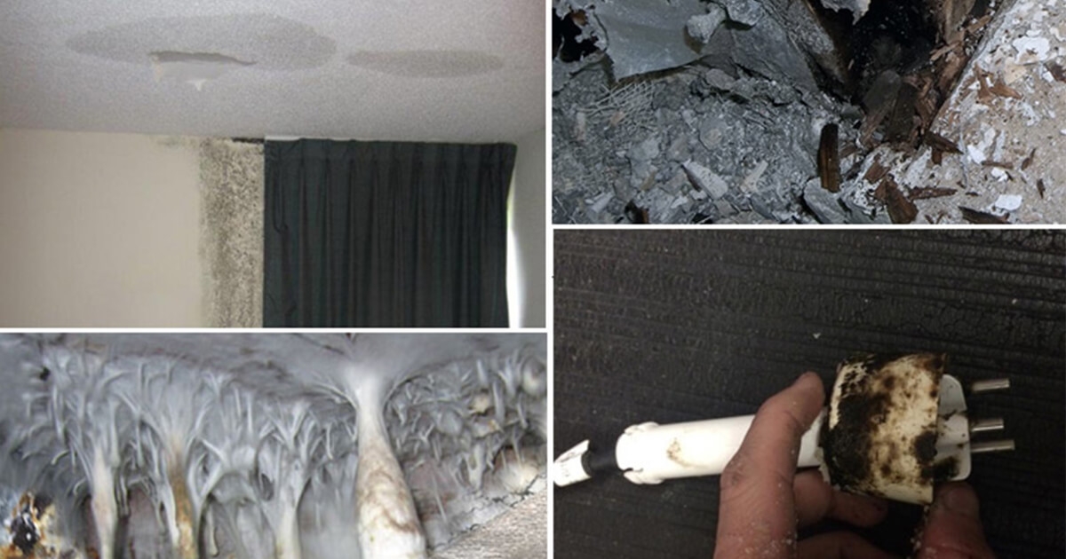 Reasons to Get Water Damage Restoration Immediately