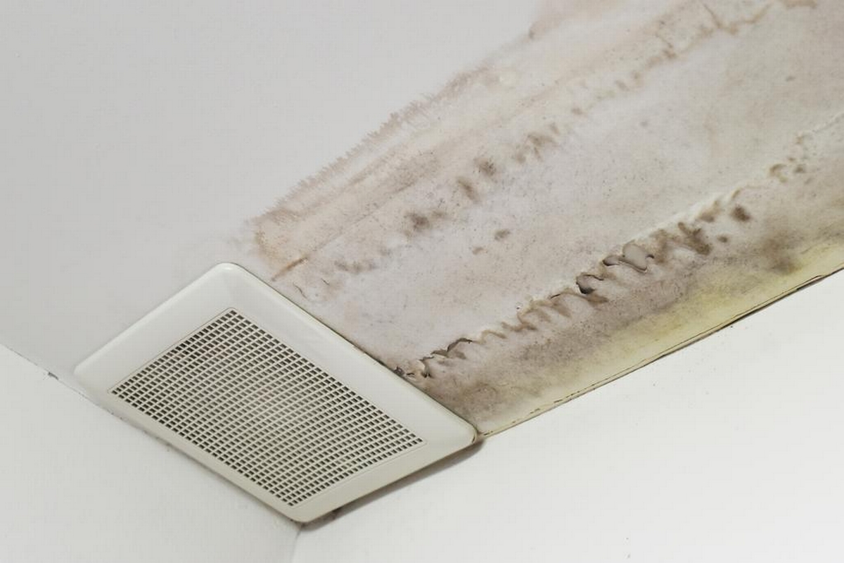 Mold Growing on Ceiling: What It Means