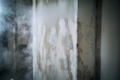Mold Remediation and Dry Fog: How It Works