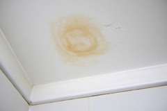 Water Damage Above Shower and How to Address It