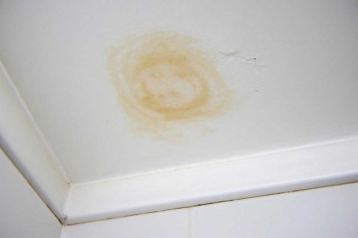 Water Damage Above Shower and How to Address It