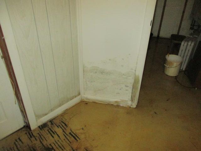 Mold Remediation in Flat Rock, NC