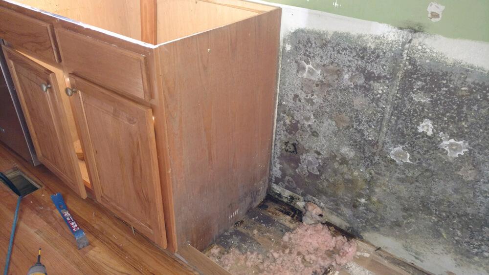 Water & Mold Damage in Shelby, NC