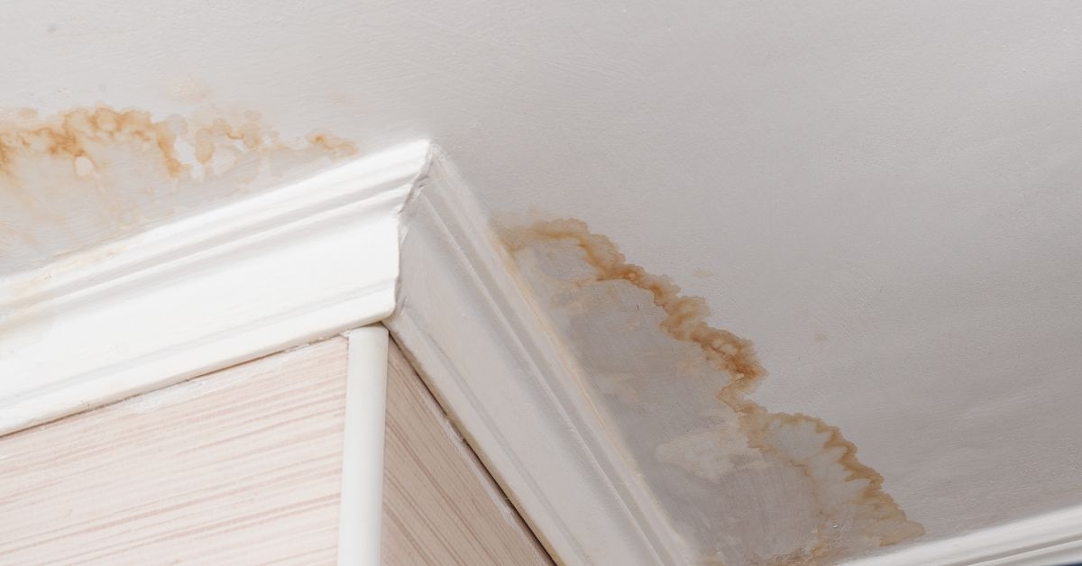 Balancing Act: Water Damage and Indoor Air Quality – Tackling Humidity and Mold Concerns