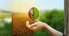 Responding to the Increasing Threat of Climate Change