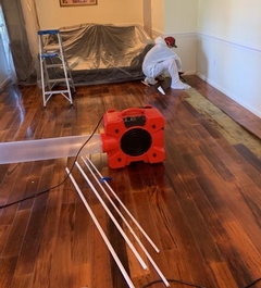 The Expert's Guide to Preventing Secondary Damage After a Water or Fire Disaster