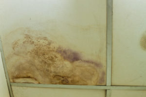 water damage savannah ga, water damage restoration savannah ga, water damage cleanup savannah ga
