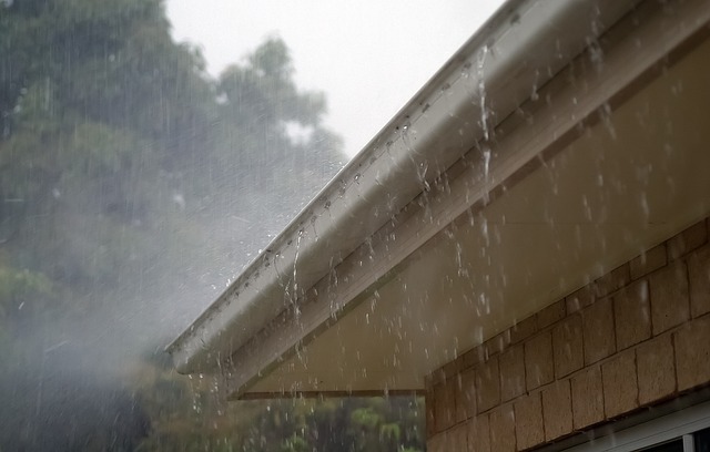 Gutter clogged