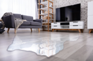 water damage repair savannah, water damage cleanup savannah, water damage restoration savannah