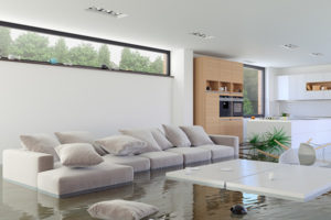 water damage cleanup savannah