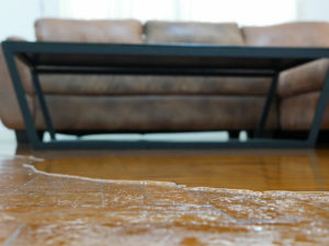 emergency restoration services, emergency repair services, emergency cleanup services