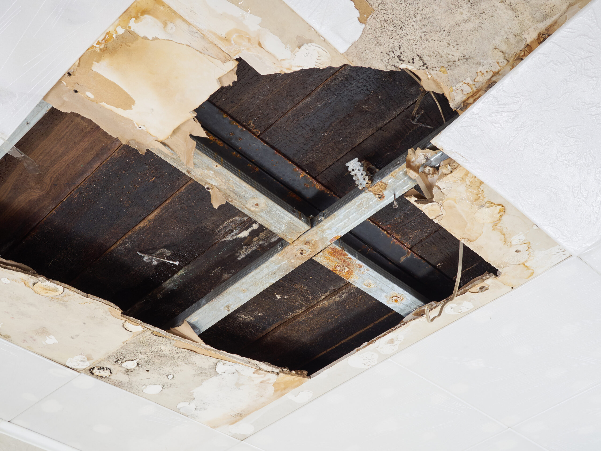 Water Damage Restoration Richmond Hill