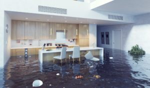 water damage cleanup savannah ga, water damage repair savannah ga, water damage restoration savannah ga
