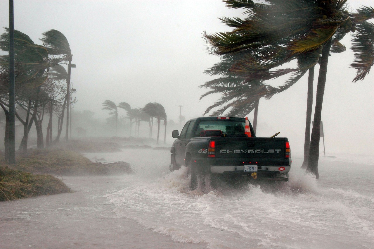 How to Prepare for a Wind Storm