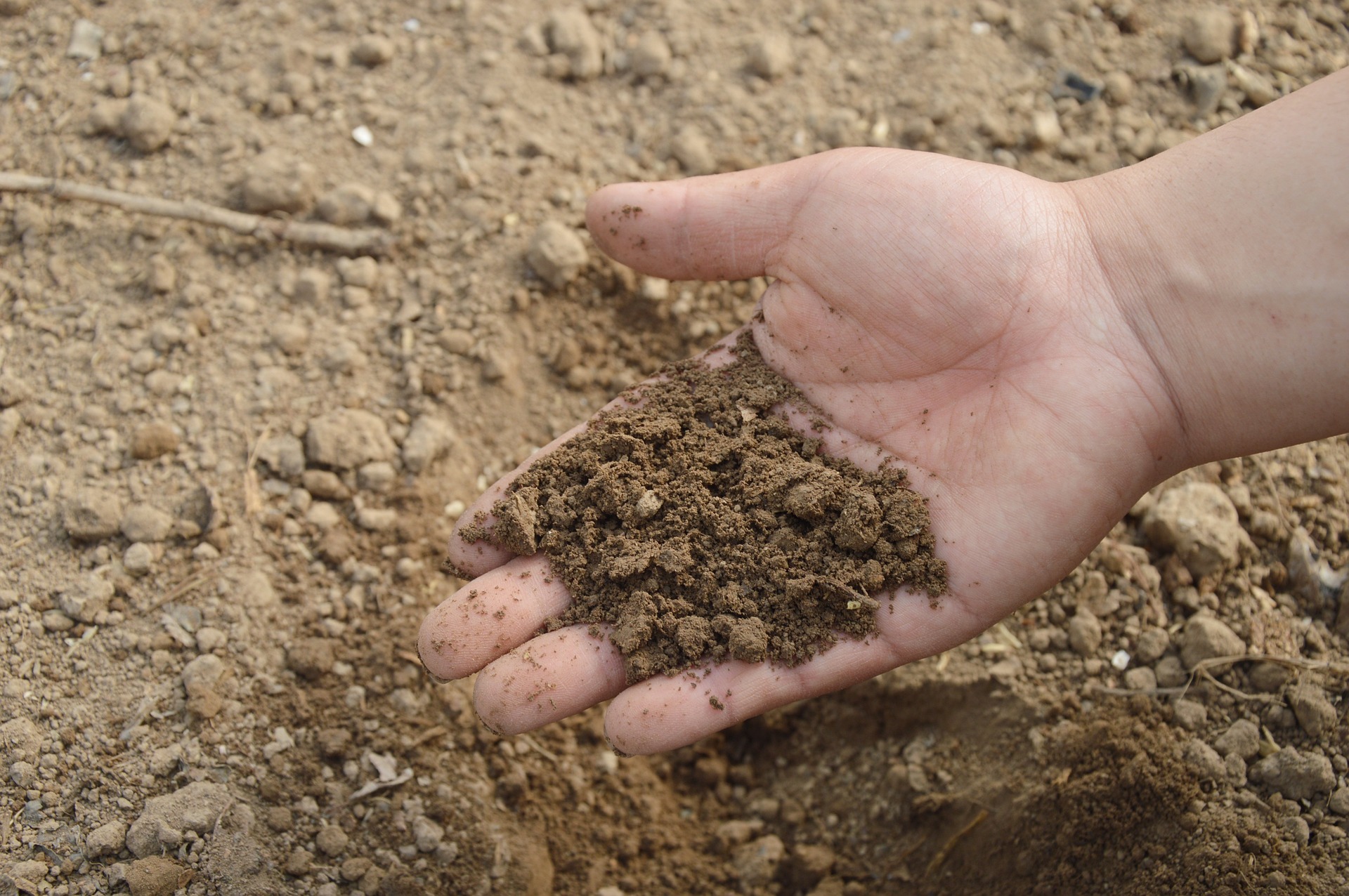 holding a piece of land in a hand