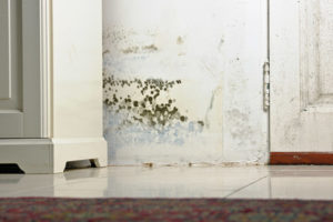 water damage restoration