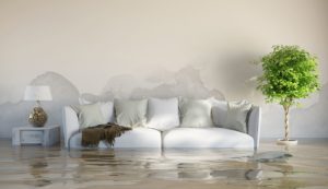 flood damage savannah, flood restoration services savannah, flood damage repair savannah