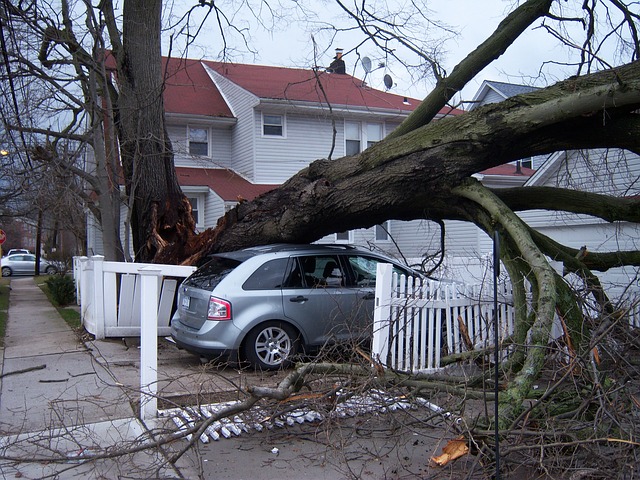 4 Steps to Take After Storm Damage