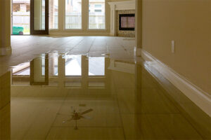 savannah water damage restoration