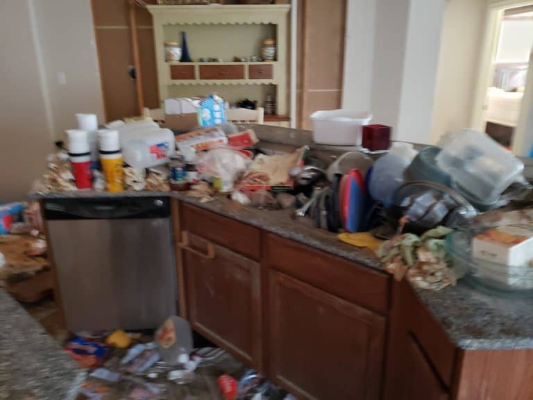 Cleaning Before