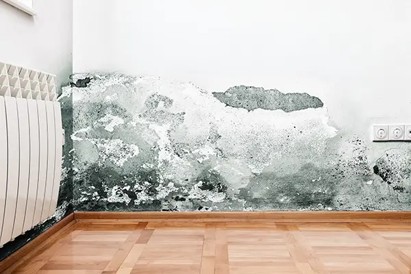 Mold Remediation in Austin,Bee Caves,Cedar Park,Dripping Springs,Georgetown,Hutto,Lakeway,Leander,Liberty Hill,Pflugerville,Round Rock,Westlake