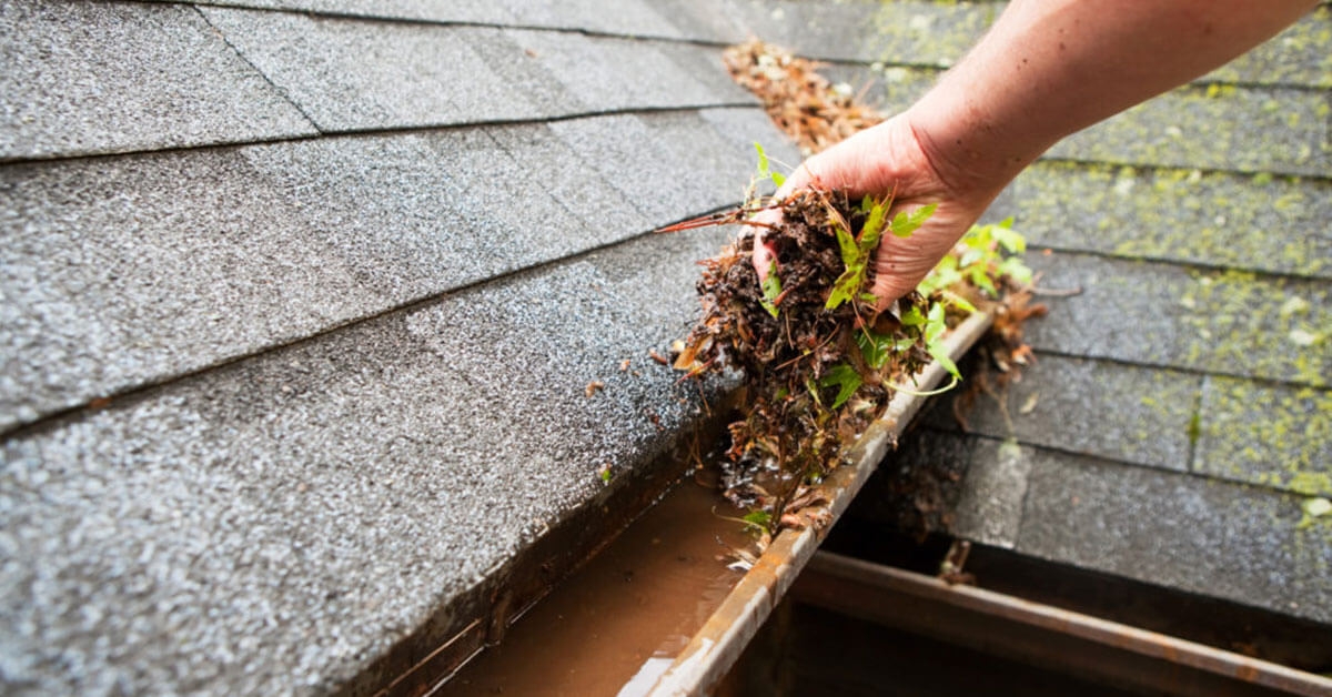Clogged Rain Gutters Cause Water Damage Restoration In Troy
