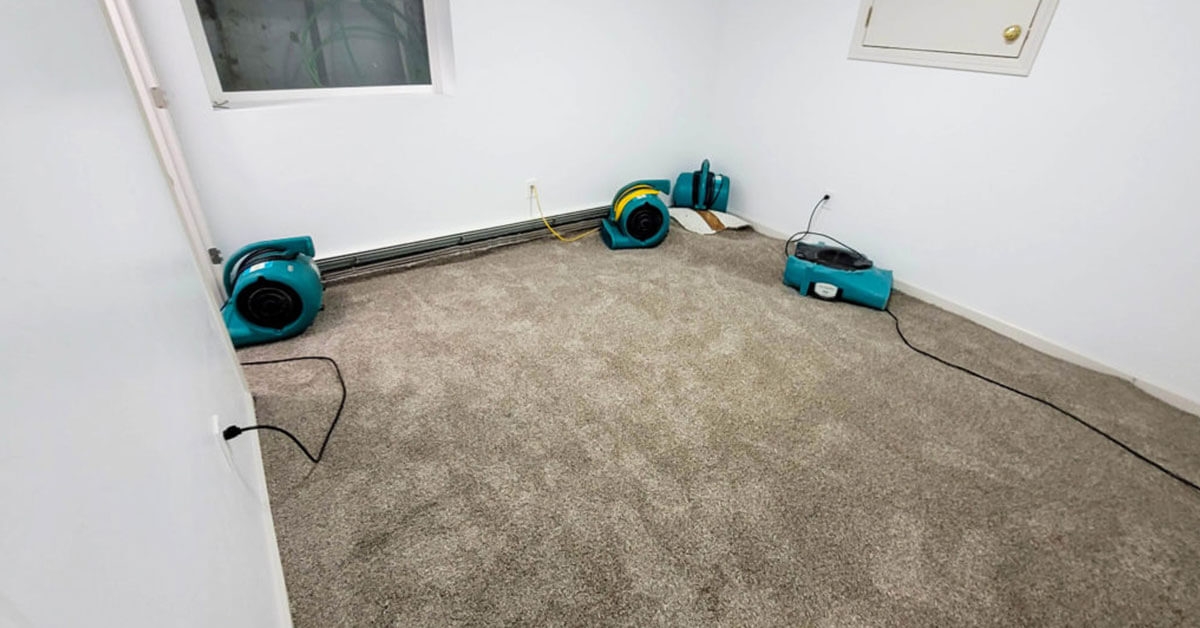 Water Damage Restoration In Troy – Categories Of Water