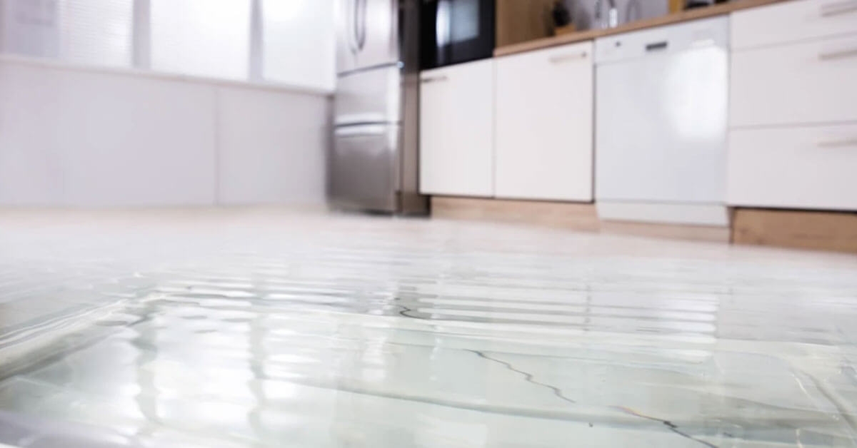 Water Damage Restoration Inside and Out