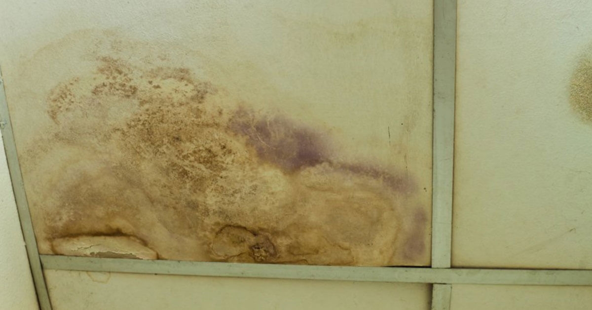 Water Damage Restoration – Early Signs Of Water Damage