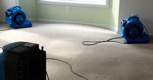 'Why Should I Hire A Professional Water Restoration Company?' Featured Image Why Should I Hire A Professional Water Restoration Company?
