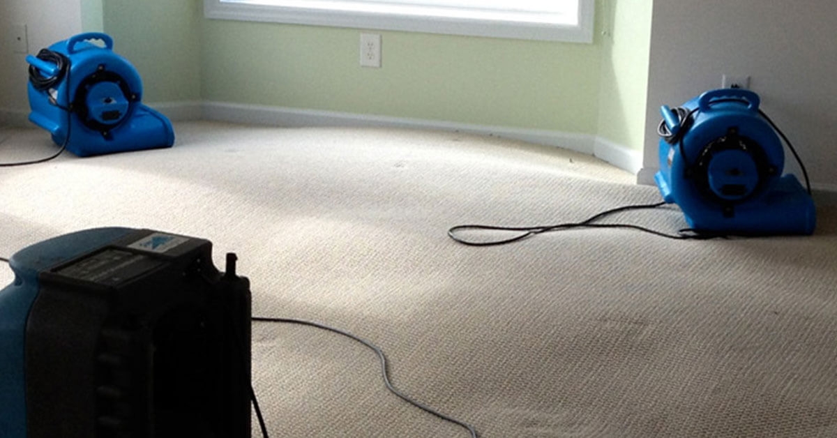 Why Should I Hire A Professional Water Restoration Company?