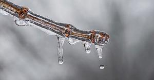 'What You Need to Know About Frozen Pipes' Featured Image What You Need to Know About Frozen Pipes