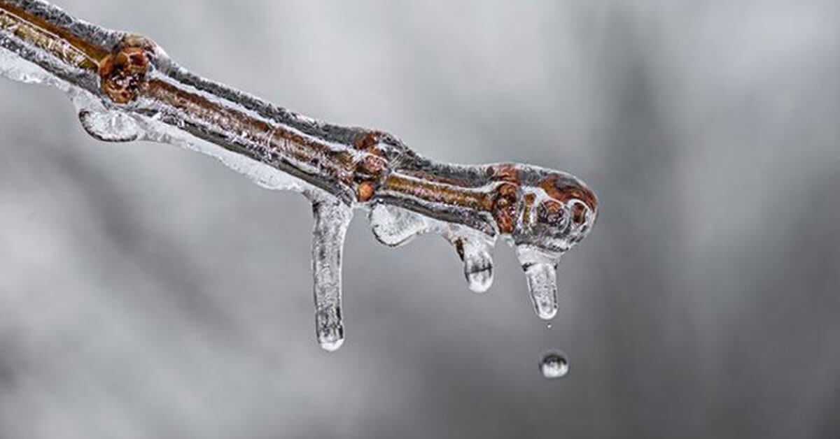 What You Need to Know About Frozen Pipes