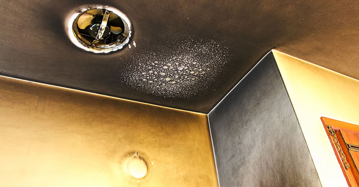 From Soot To Salvage: Navigating The Smoke Damage Cleanup Process In Troy